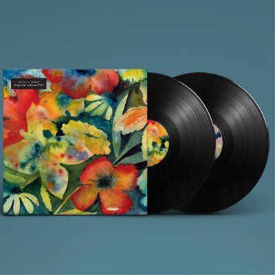 Adrianne Lenker - Songs and Instrumentals Vinyl LP Record | Indie Folk Music for Relaxation & Home Listening