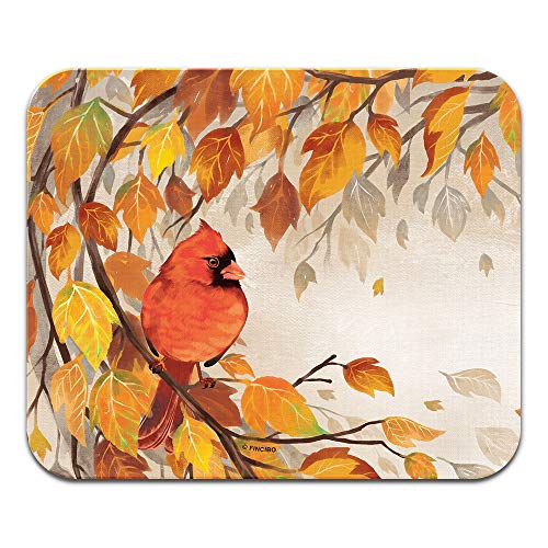 Red Cardinal Bird in Autumn