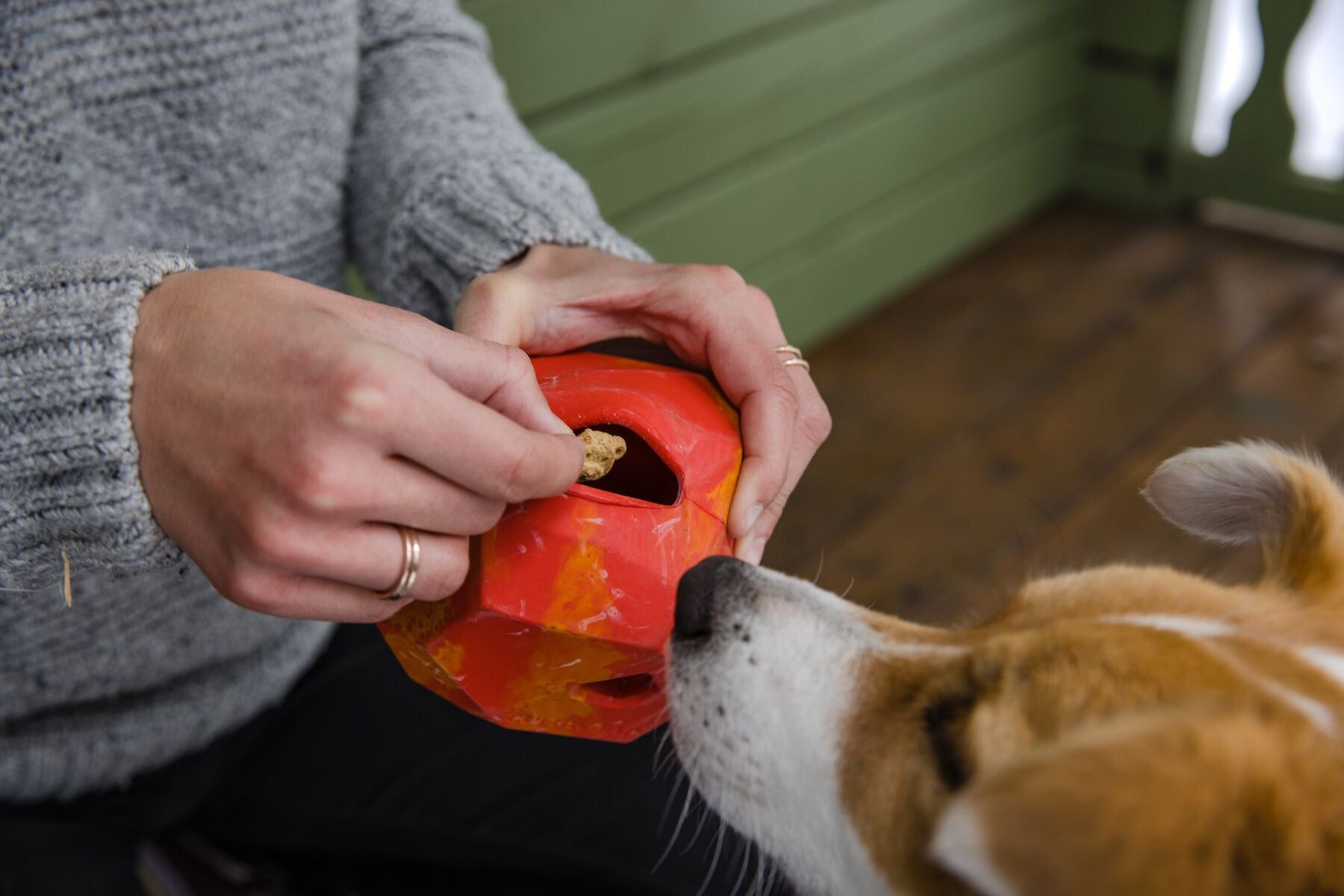 Gnawt a Rock® Purple Orchid Dog Food Dispenser & Ruffwear® Treat Holder - Durable Pet Feeding Solution for Indoor & Outdoor Use