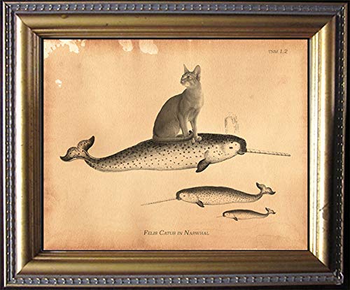 Vintage Abyssinian Cat Riding Narwhal Collage Art Print - Semi-Matte Tea Stained Wall Decor for Dog Lovers | Unique Gift for Dog Moms, Pet Owners & Animal Enthusiasts | Perfect for Living Room, Bedroom or Office Decor