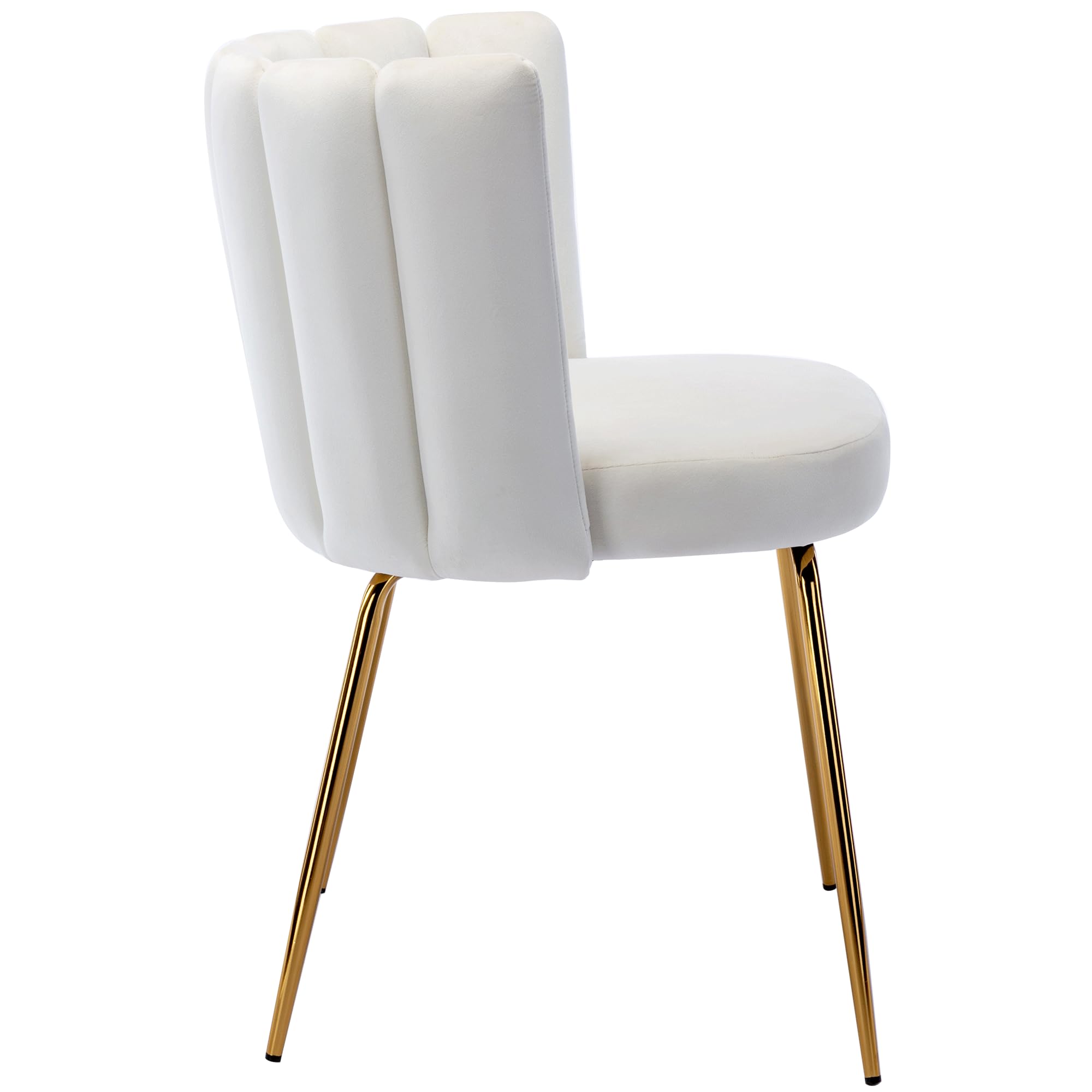 Modern Velvet Accent Dining Chairs Set of 2 - Upholstered Kitchen & Living Room Side Chairs with Gold Metal Legs, Cream - Perfect for Home, Restaurant, and Office Use