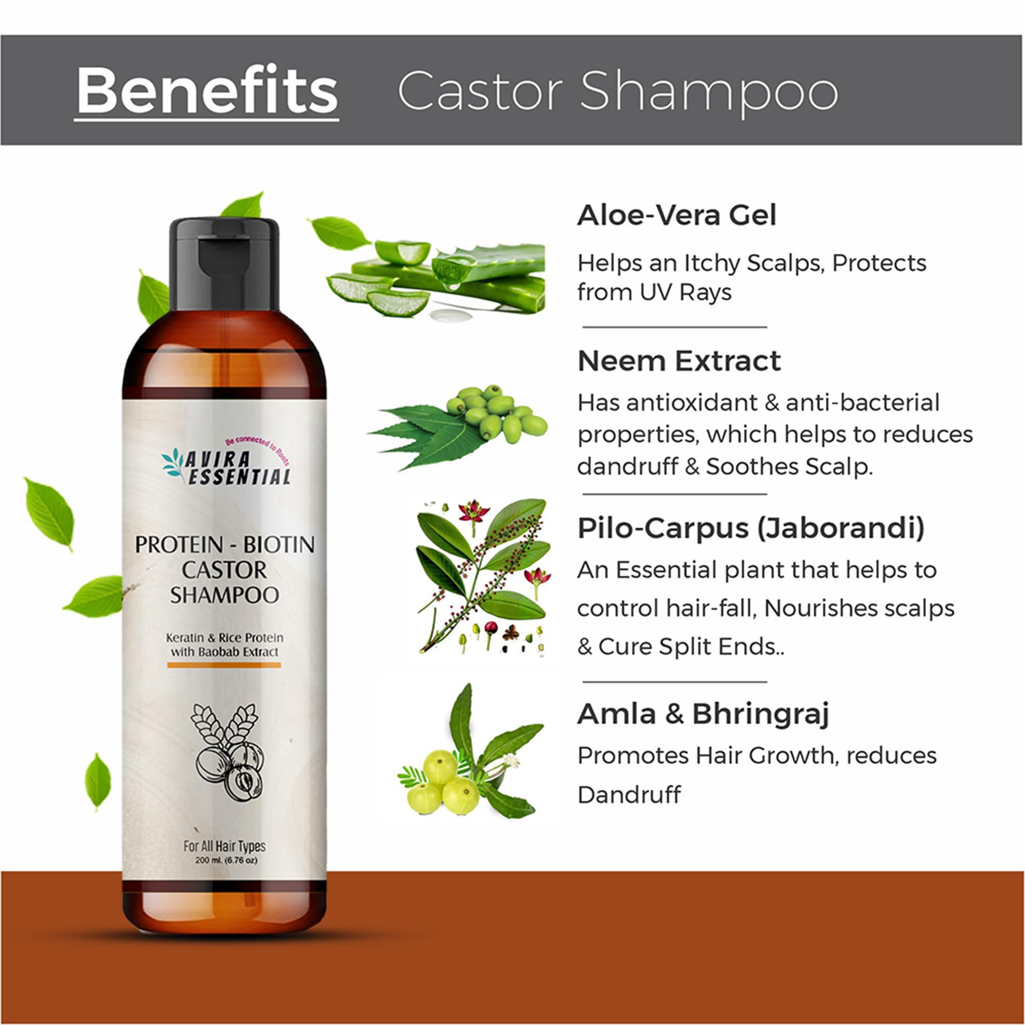 Avira Essential Protein Biotin Castor Shampoo for Hair Growth - Anti Hair Loss, Anti Dandruff & Frizz Control | Organic Keratin & Rice Protein Shampoo for Women & Men - Volumizing Treatment for Dry, Damaged Hair (200ml) | Perfect for Daily Use & Hair Repair Routine