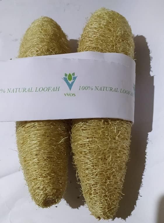 Organic Loofah Sponge Body Scrubber - Natural Exfoliating Bath Sponge for Men & Women | Eco-Friendly, Chemical-Free Shower Scrub | Pack of 2 (15-20cm) | Perfect for Daily Exfoliation & Skin Renewal in Shower or Bath