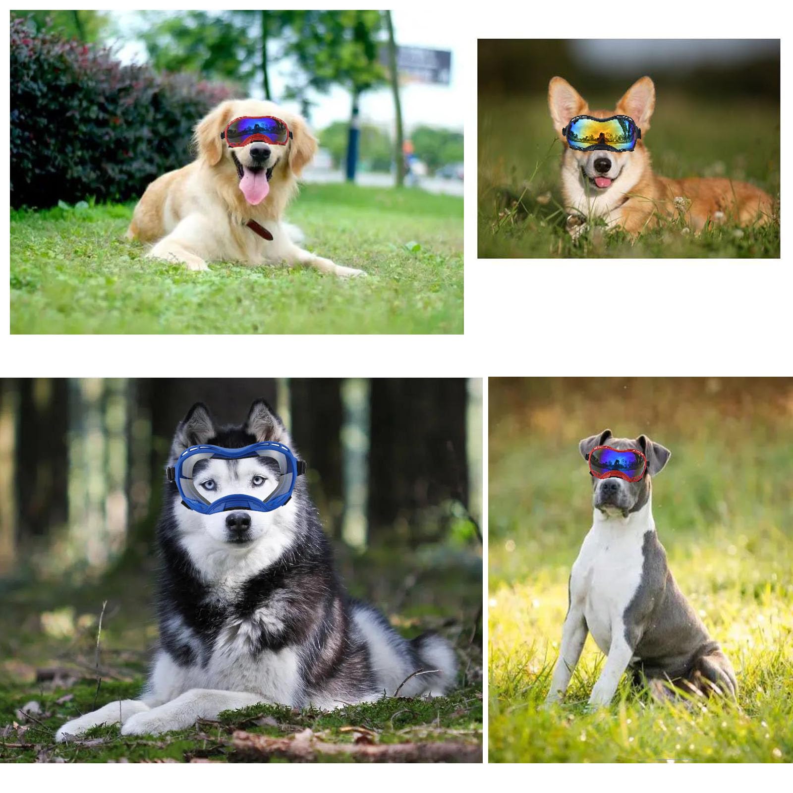 UV Protection Dog Goggles for Large Breeds - Windproof, Dustproof & Snowproof Sunglasses for Medium to Large Dogs - Pink Frame with Silver Lens - Perfect for Hiking, Running & Outdoor Adventures