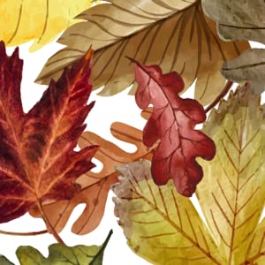 Thanksgiving Fall Leaves