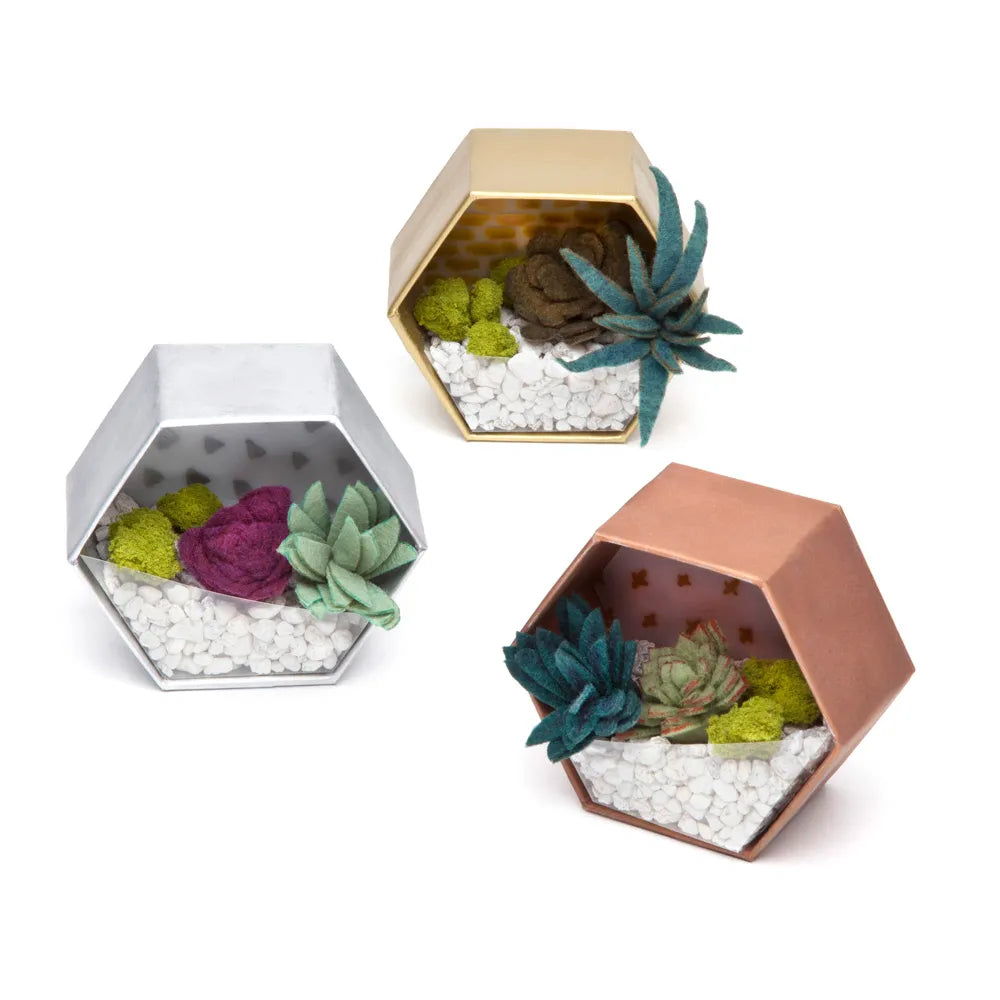 DIY Mini Terrarium Kit - Complete Glass Terrarium Set with Plants & Decor for Home Office Desk Decor, Creative Gardening Gift for Adults & Kids