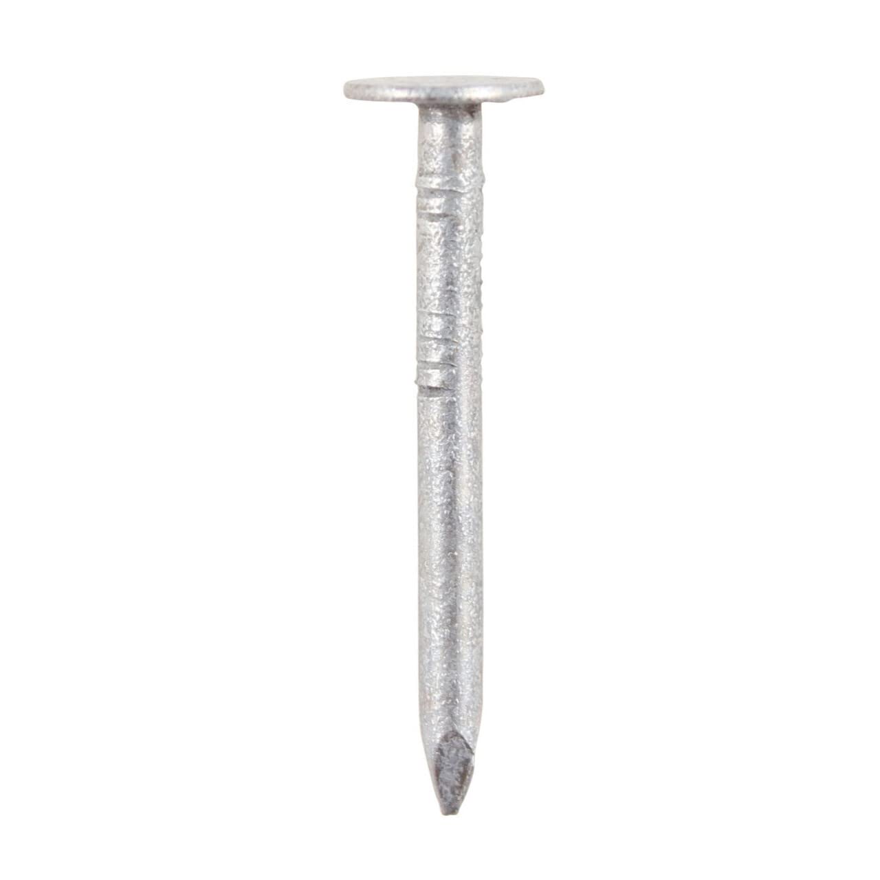Galvanized Clout Nails 65 x 2.65mm - 2.5kg Tub for Roofing, Fencing & DIY Projects - Heavy Duty Construction Nails for Woodwork and Outdoor Use