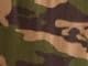 Olive Camo