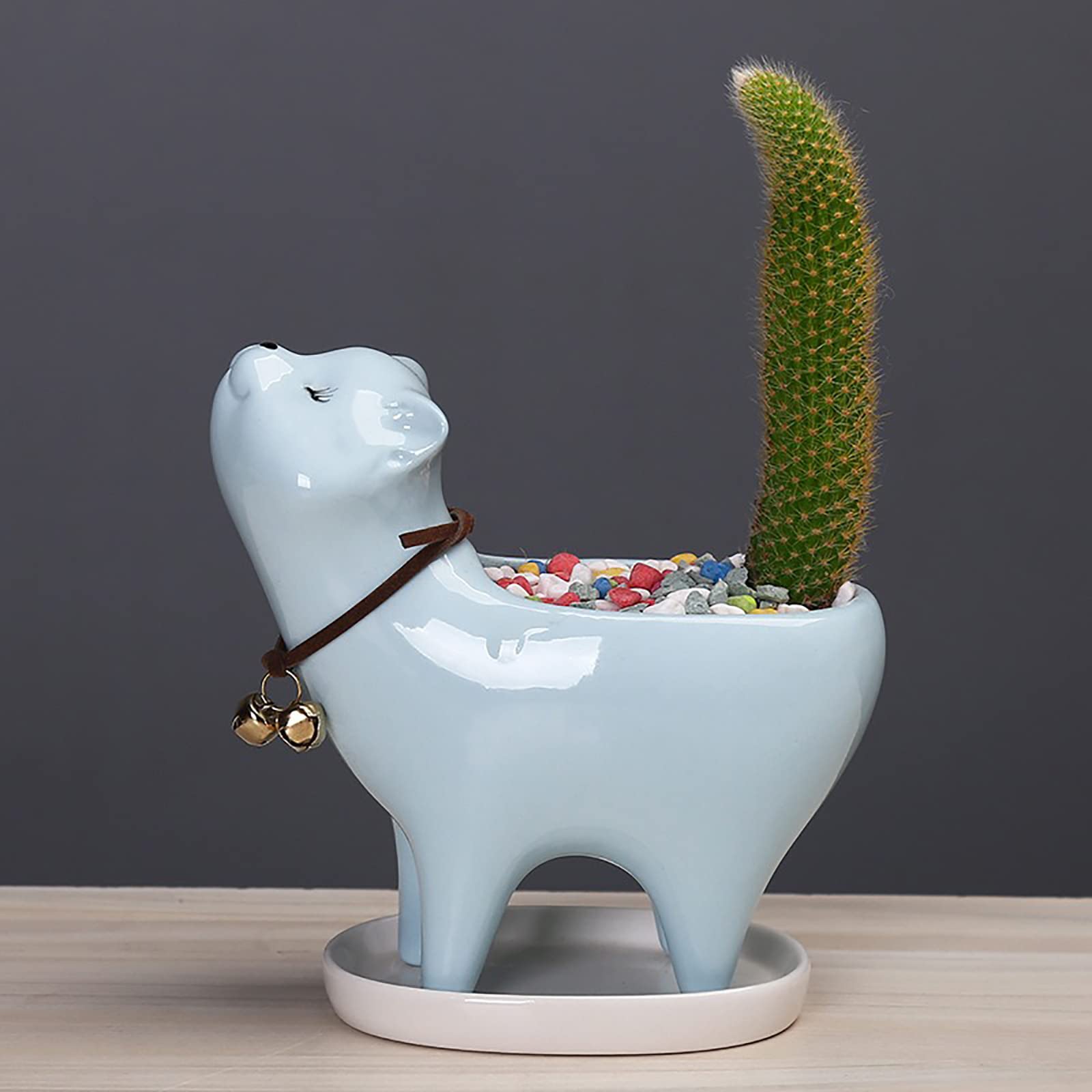 Cute Cartoon Cat Tail Succulent Planter - Multi-Purpose Ceramic Flower Pot for Fairy Palm, Succulents & Small Plants - Perfect for Home Decor, Office Desk & Garden