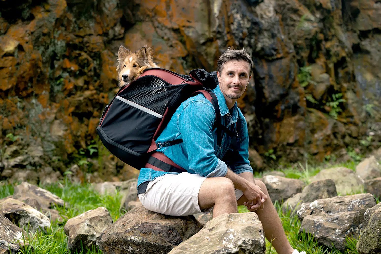 **Champion 3-in-1 Large Dog Carrier Backpack – Convertible Travel Backpack, Wheeled Pet Suitcase & Car Seat Booster – Maroon – Perfect for Air Travel, Road Trips & Outdoor Adventures**