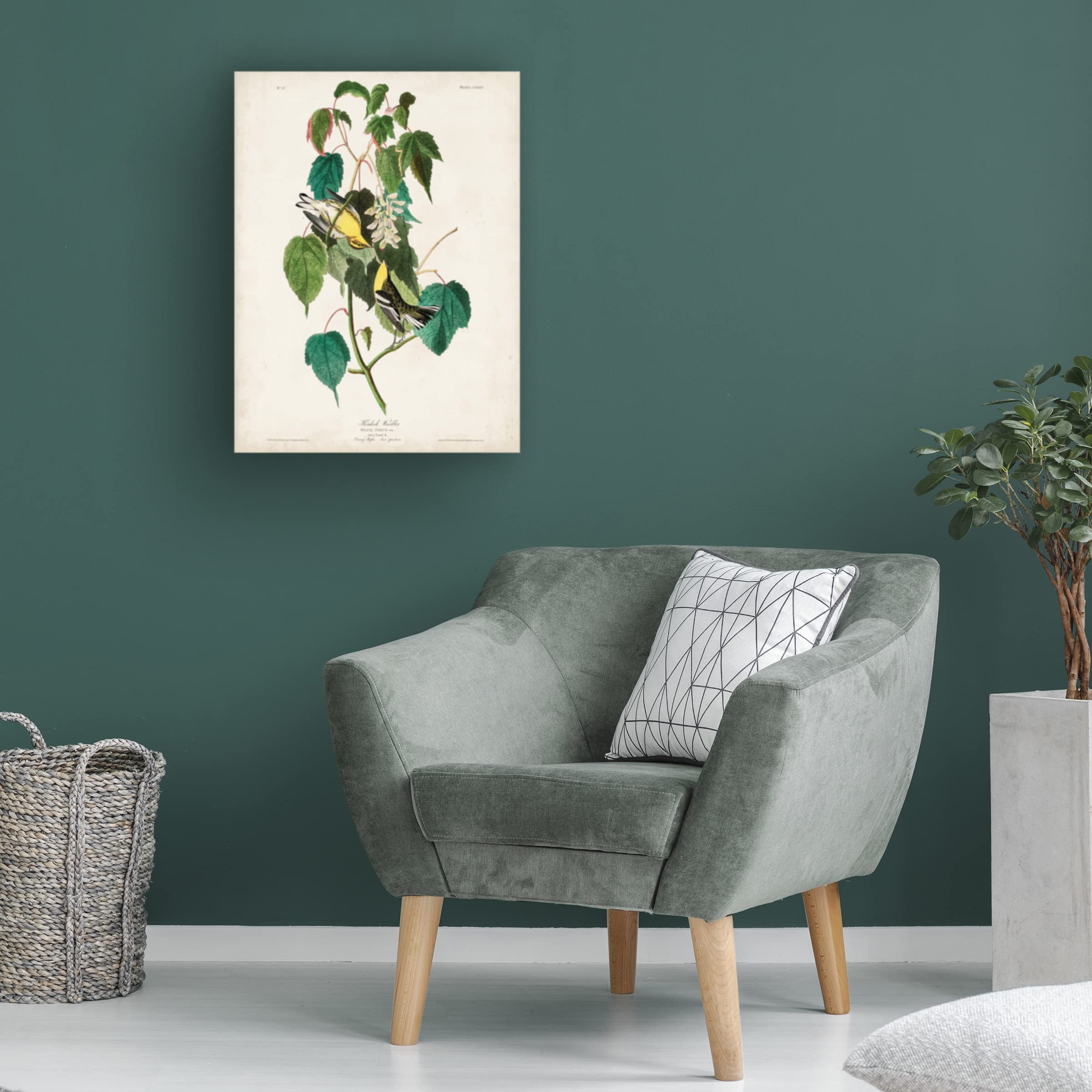 John James Audubon 'Hemlock Warbler' Fine Art Canvas Print 18x24 - Perfect for Home Decor, Office Wall Art & Nature Lover Gifts