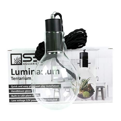 Hanging Glass Terrarium with LED Lights - Decorative Plant Display for Home, Office, or Wedding Decor