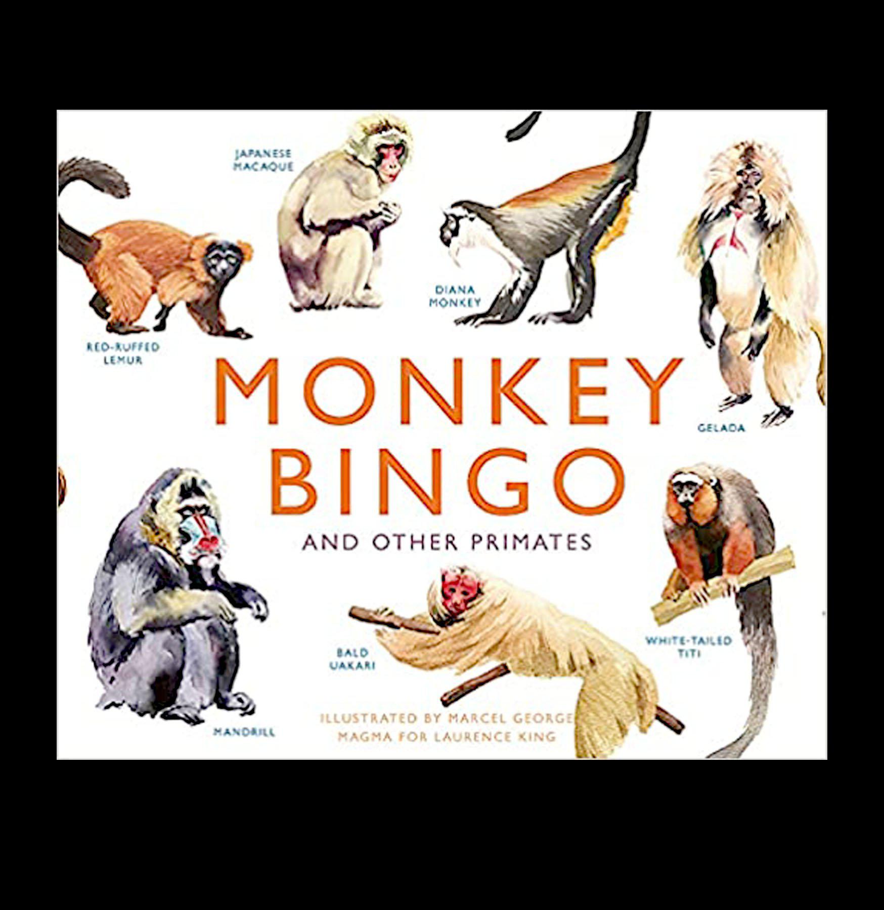 Monkey Bingo & Other Primates Board Game - Fun Family Party Game for Kids & Adults - Perfect for Birthday Parties, Game Nights & Classroom Activities
