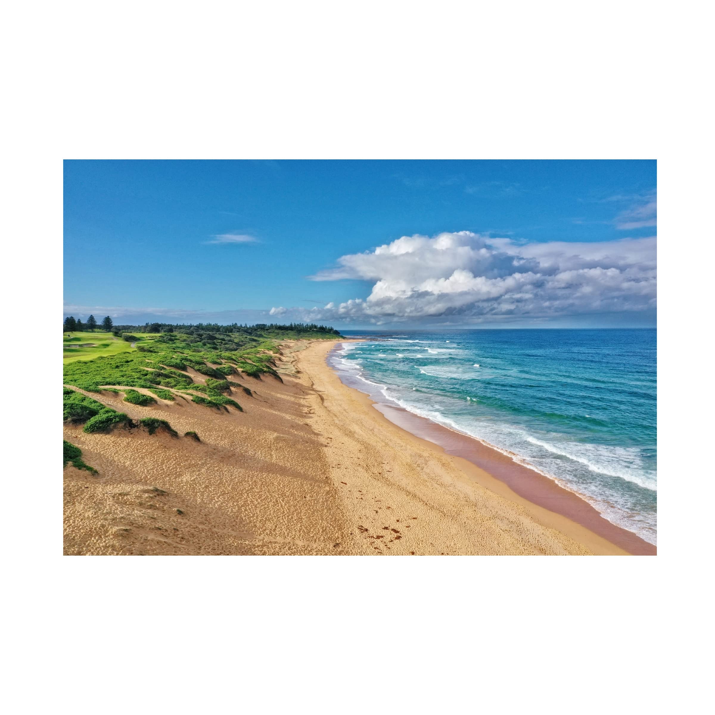 Trademark Fine Art 'Shelly Beach Afternoon' Canvas Wall Art Print by Beata Czyzowska Young - Coastal Home Decor for Living Room, Bedroom & Office