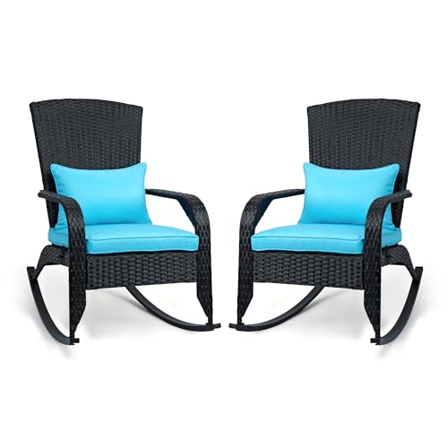 Black Rattan+ Blue Chusion-2