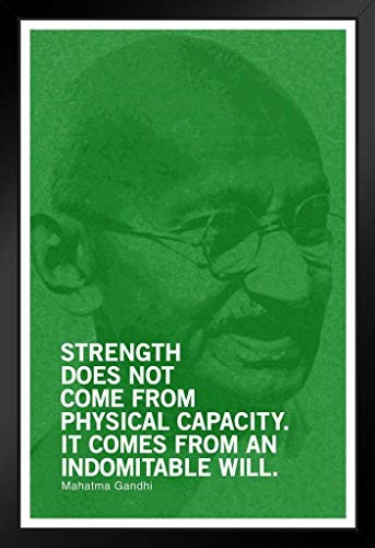 Gandhi Green | 9892