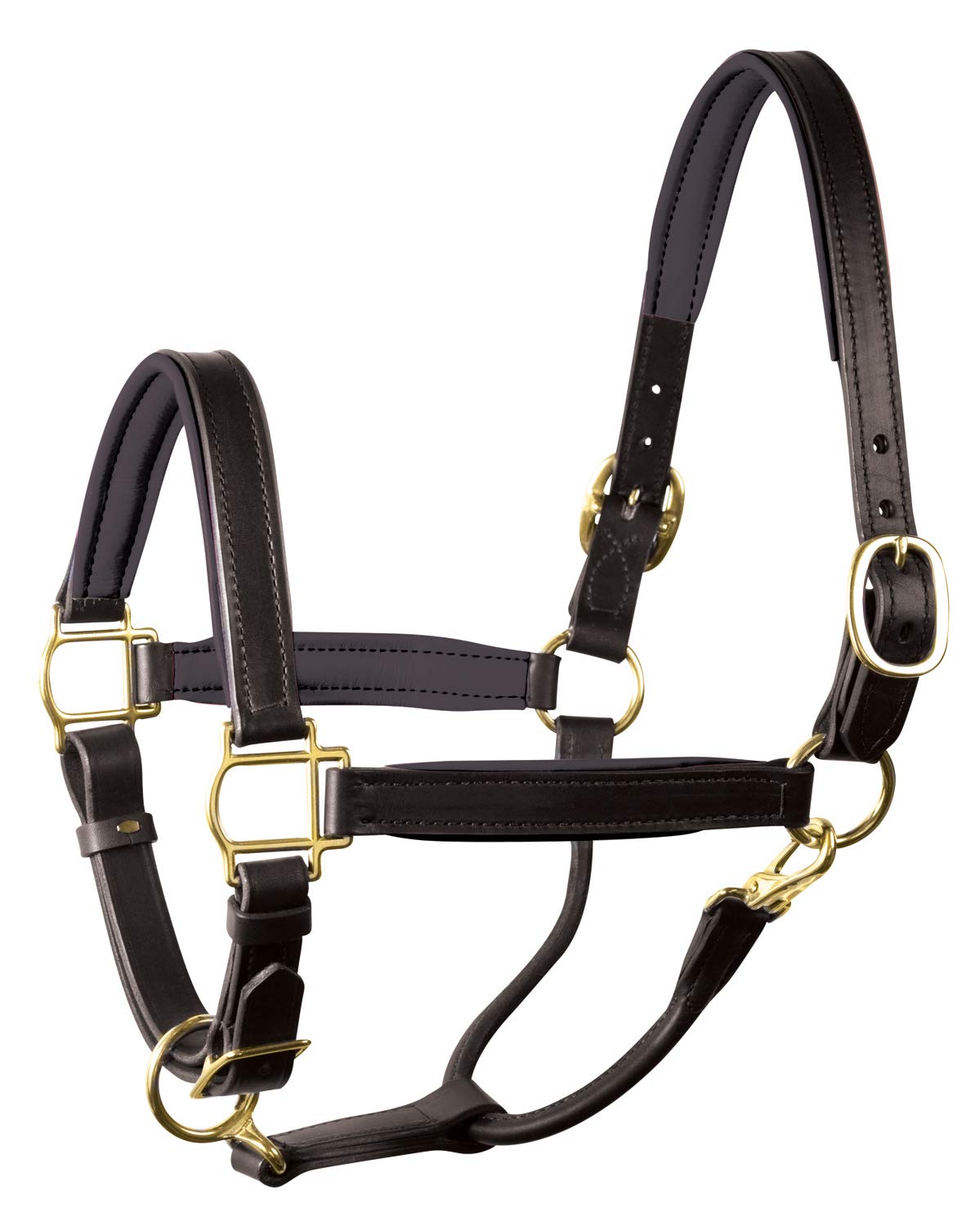Perri's Soft Padded Leather Horse Halter - Comfortable & Durable Equestrian Gear for Training, Riding, and Show Events