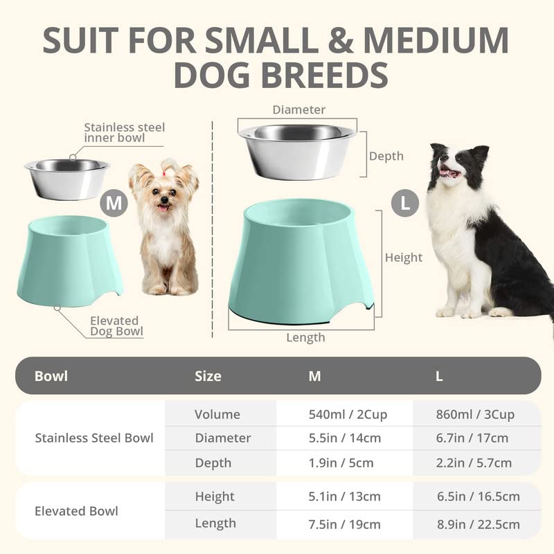 Yoken Elevated Dog Bowls - Non-Slip Stainless Steel Raised Dog Food Bowls for Small & Medium Dogs - Prevents Neck Strain & Improves Digestion - Perfect for Home, Kitchen or Outdoor Use