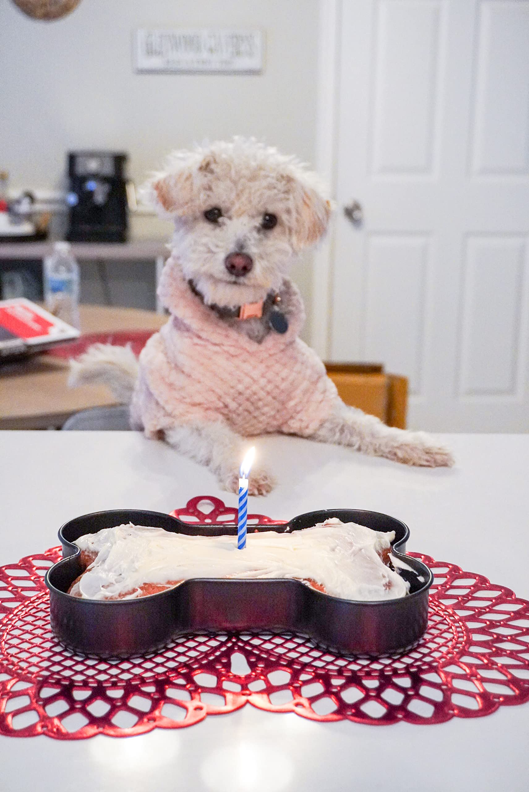Nonstick Bone-Shaped Cake Pan - Midlee Bakeware for Halloween, Dog-Themed Parties & Fun Desserts