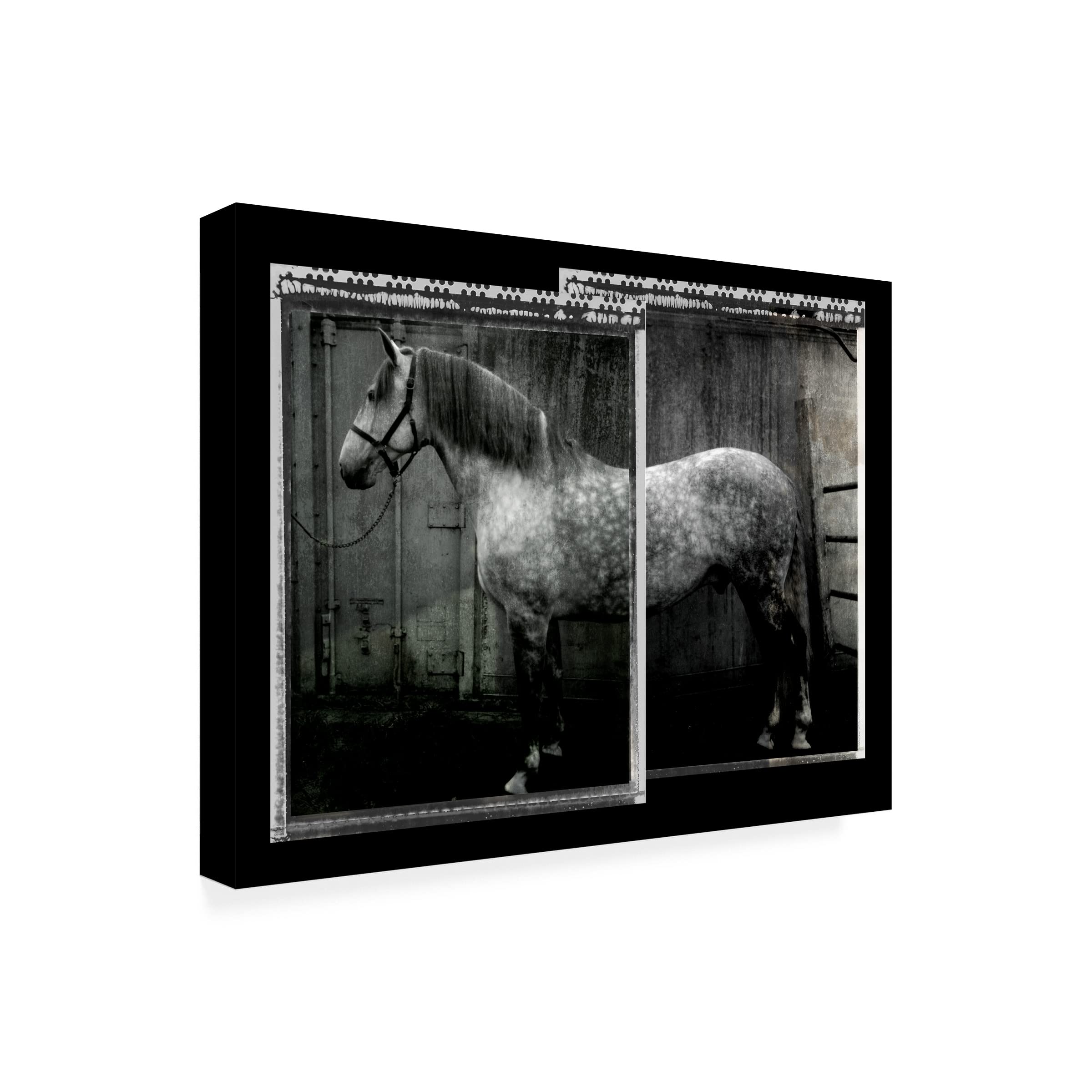 Susan Friedman 'Equine Double Take IV' Horse Painting Canvas Wall Art - Perfect for Living Room, Bedroom & Office Decor