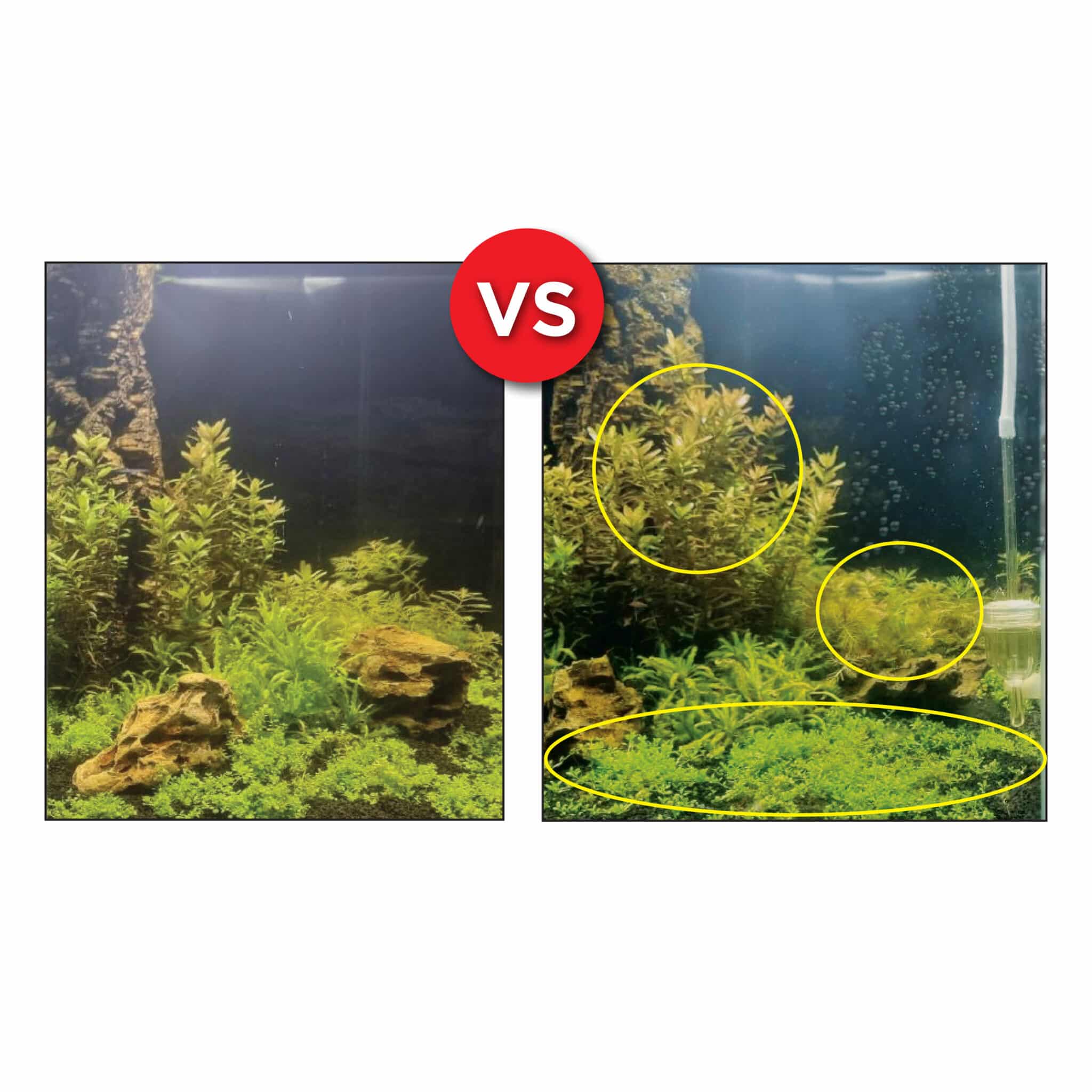 Fluval Bio CO2 Pro Low Pressure System 125L - Planted Aquarium CO2 Kit for Freshwater Fish Tanks | Ideal for Aquatic Plants & Healthy Fish Growth