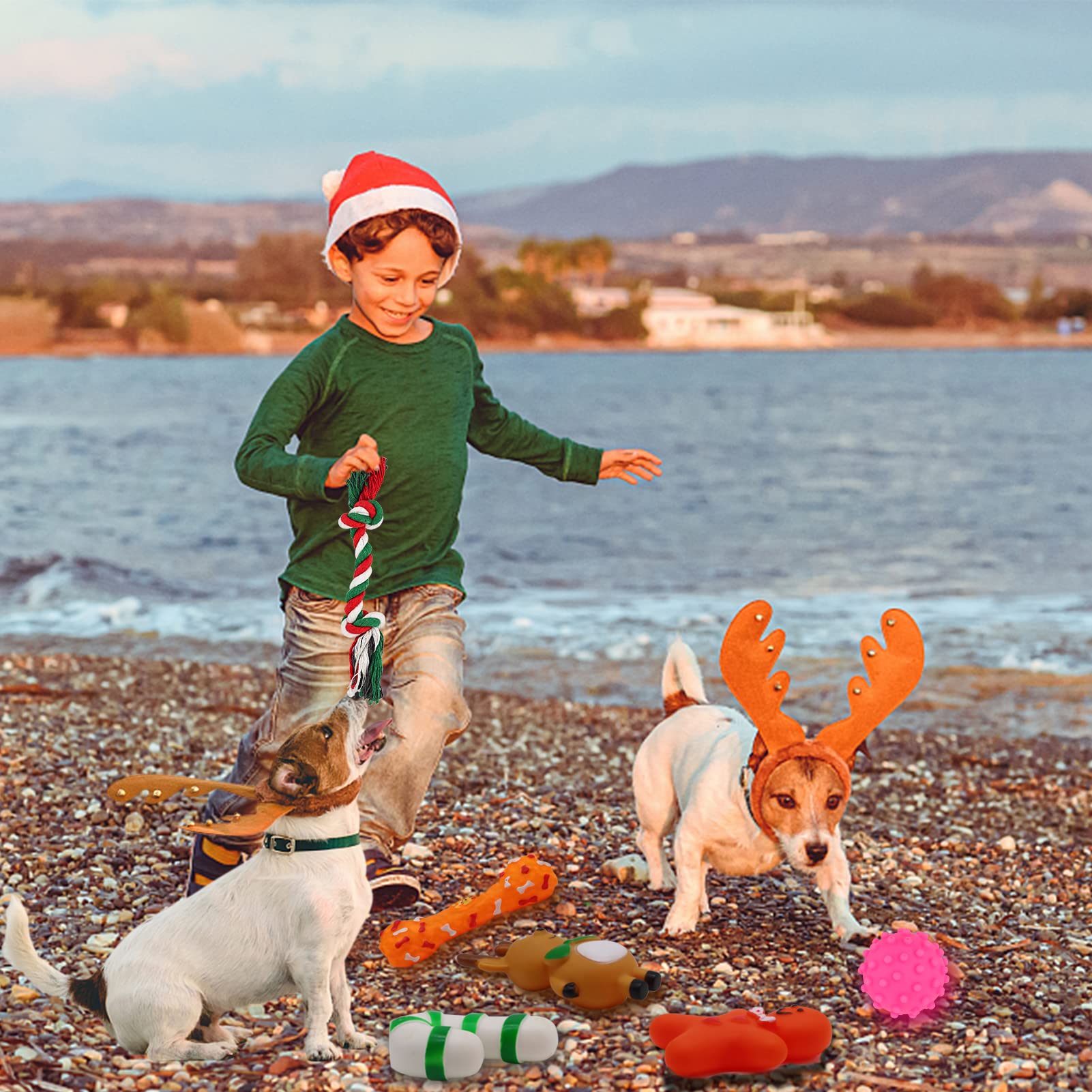 ZALALOVA 6-Piece Christmas Dog Stocking Toys Set - Chew Toys, Santa, Gingerbread Man, Bone, Tree & Candy Cane Shapes - Interactive Ball Gift for Dogs | Holiday Pet Gifts & Puppy Chew Toys for Christmas Decorations