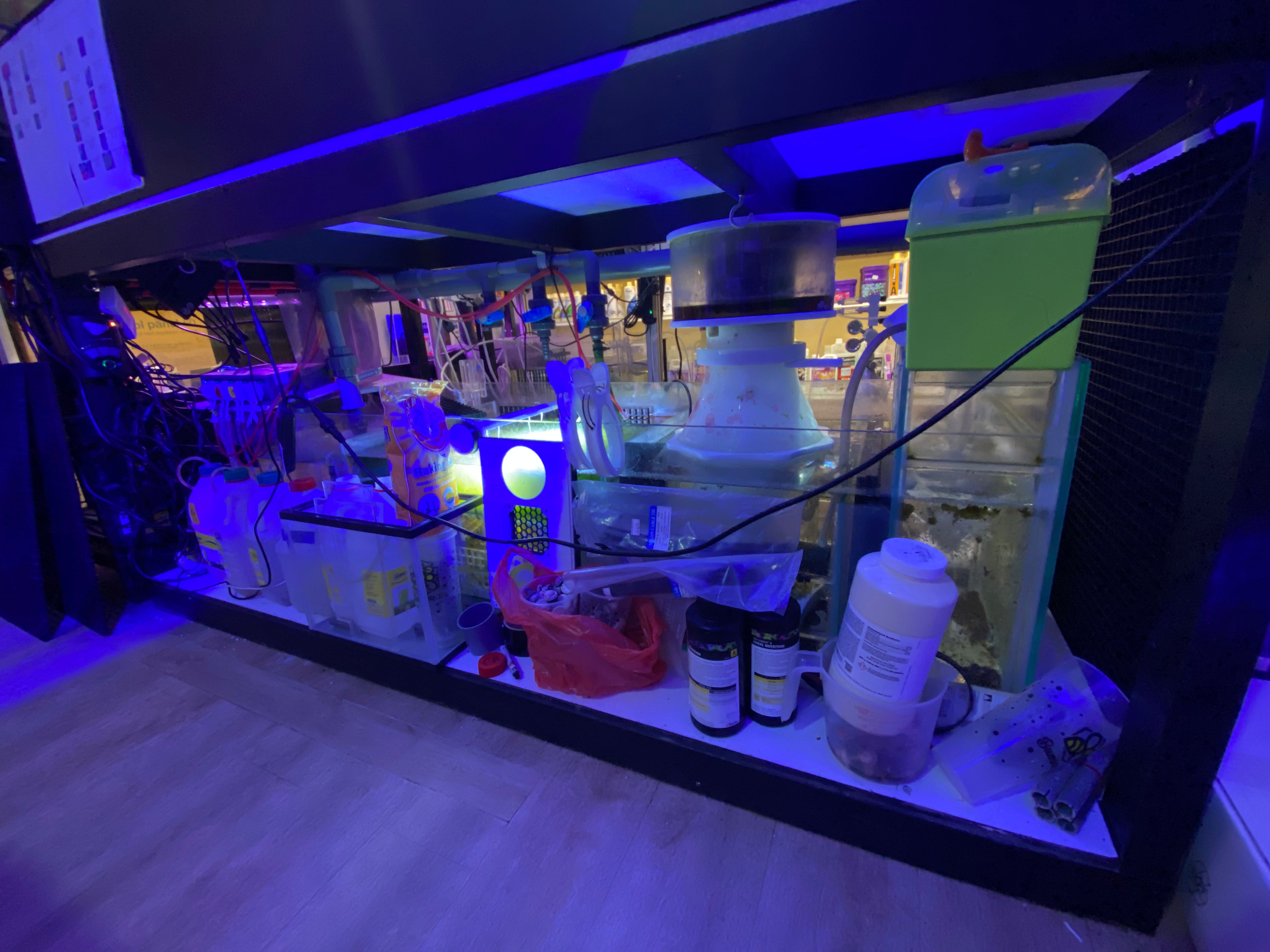 6 Feet Frag Tank with Sump & Piping System - Saltwater Coral Propagation Aquarium Setup for Reef Tanks & Marine Aquascaping