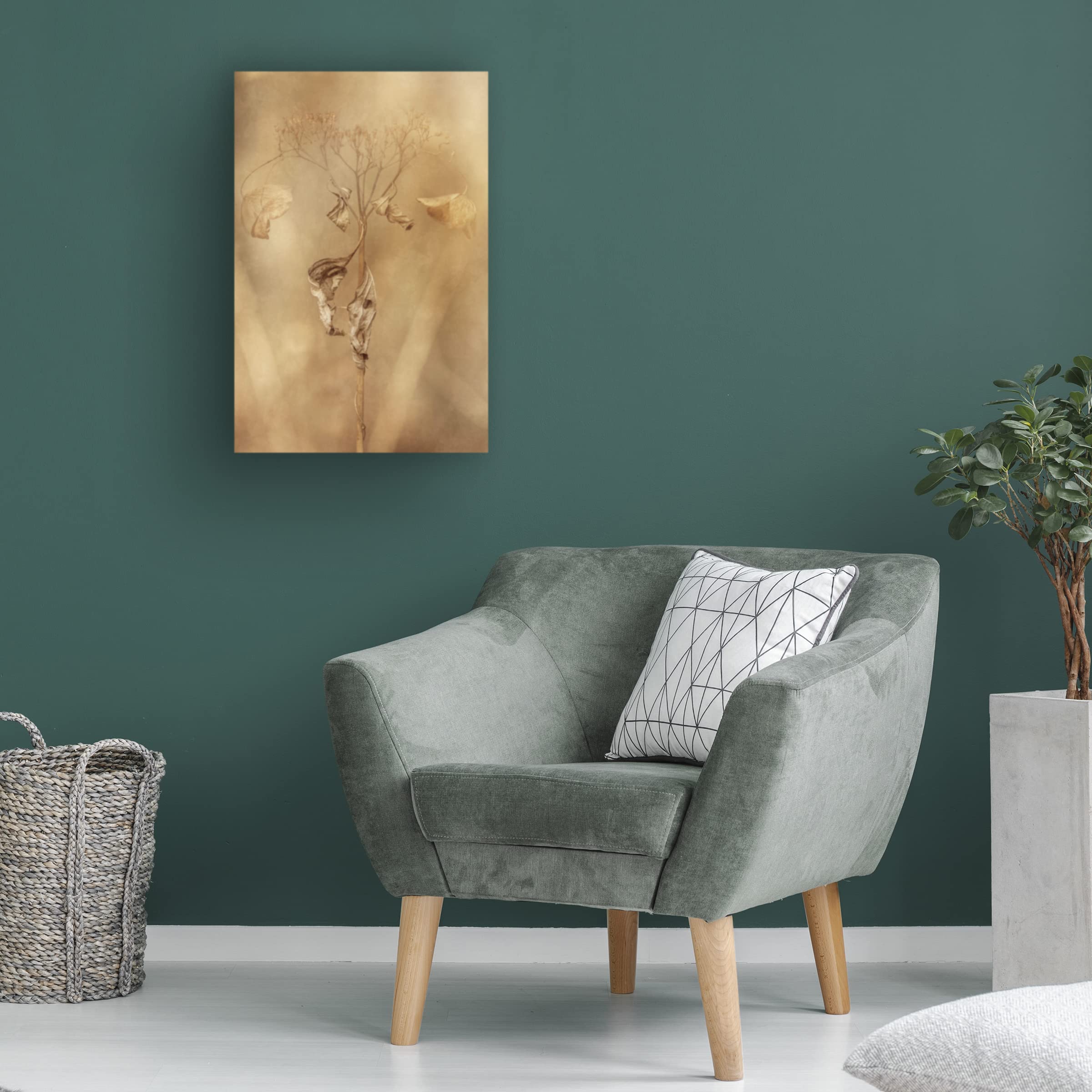 Takashi Suzuki 'Whitered Hydrangea 11' Canvas Wall Art Print - Floral Botanical Home Decor for Living Room, Bedroom & Office