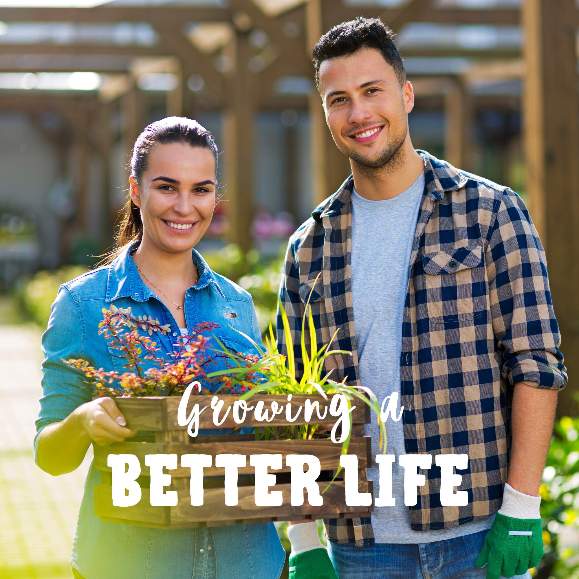 UC 72 Asparagus Garden Seeds - 2g Packet (~60 Seeds) | Non-GMO, Open Pollinated, Perennial Vegetable Seeds for Home Gardening & Organic Farming | Perfect for Raised Beds, Containers & Backyard Gardens