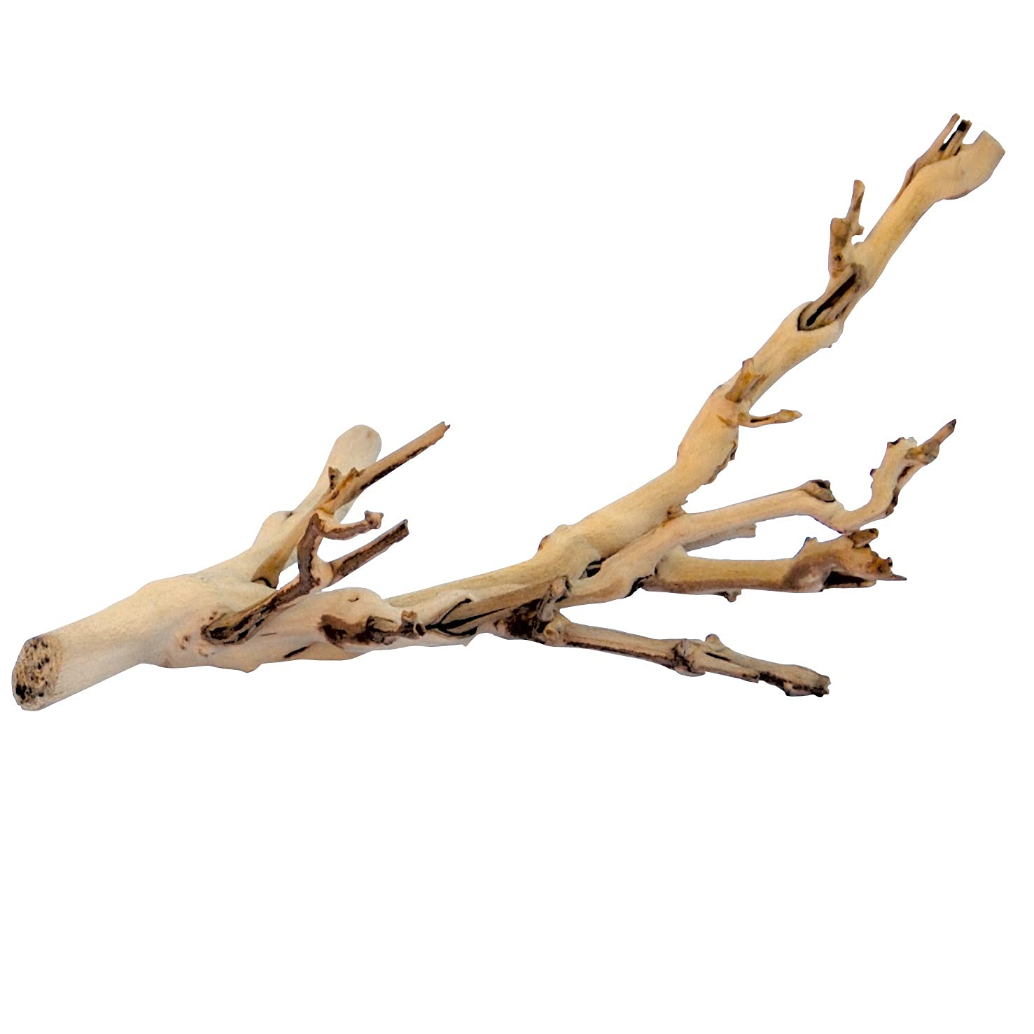 Exo Terra Forest Branch - Natural Reptile Terrarium Decoration for Lizards, Snakes & Amphibians | Perfect for Climbing, Basking & Habitat Enrichment in Vivariums