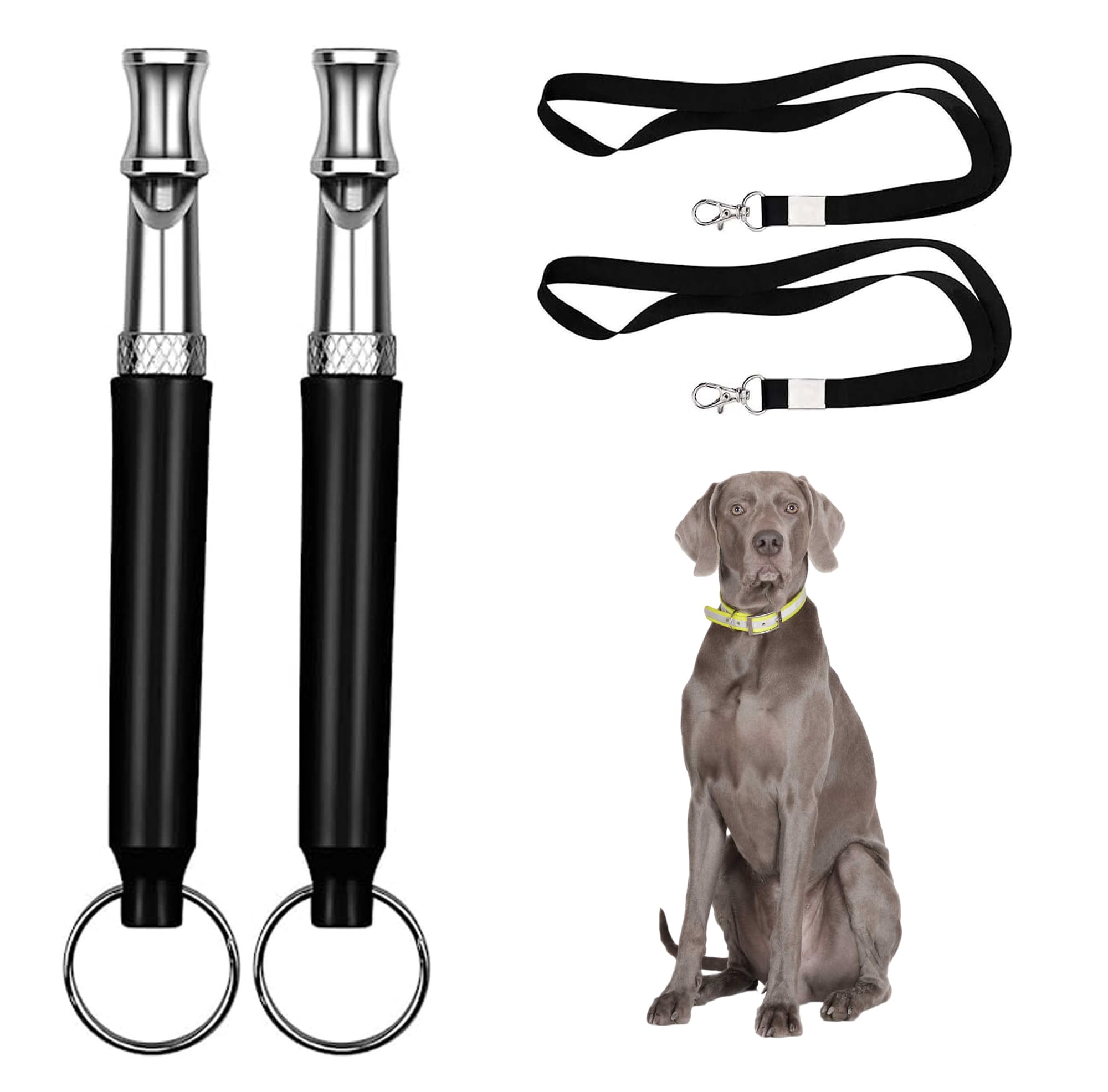 2PCS Silent Dog Whistle with Black Lanyard - Stainless Steel Bark Control Tool for Pet Dogs, Stop Excessive Barking, Obedience Training - Perfect for Outdoor Adventures, Hunting & Home Use (Black)
