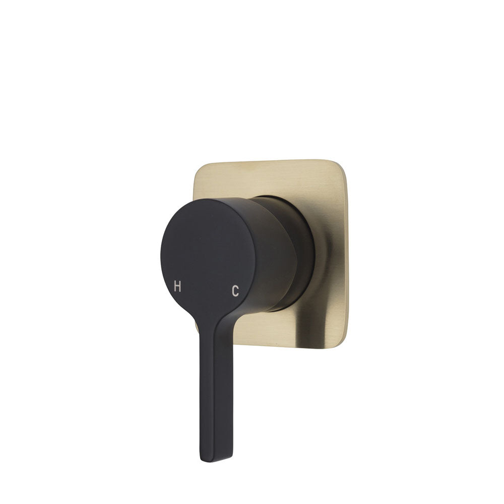 Matte Black / Urban Brass Backplate