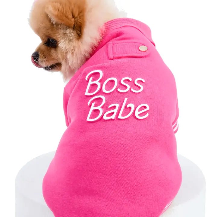 Boss Babe Dog SweatShirt - Cute Pet Clothes for Small Dogs - Perfect for Instagram Photos & Outdoor Adventures