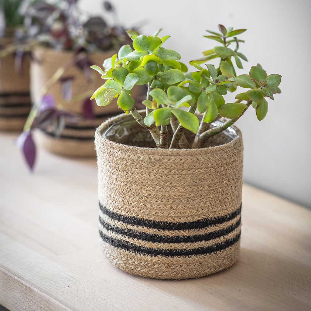 Natural Jute Striped Plant Pot - Eco-Friendly Handwoven Planter for Indoor & Outdoor Plants - Perfect for Home Decor, Garden, and Office Spaces