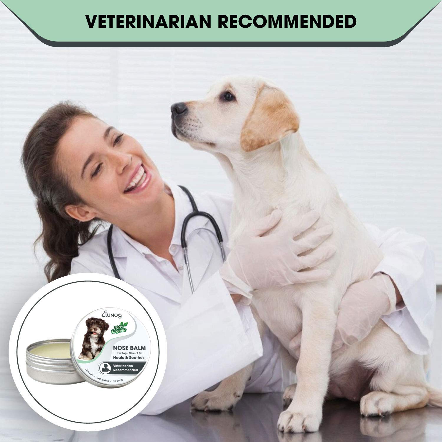 Probiotic Puppy Treats for Digestive Health - Natural Dog Training Snacks for Small & Large Breeds - Perfect for Puppy Training, Gut Support & Daily Rewards