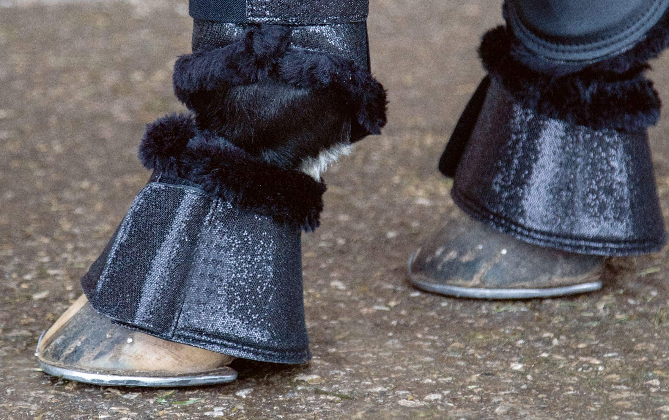 Glitter Bell Boots for Horses - 7200 Gold Equestrian Hoof Protection | Perfect for Riding, Training, and Show Jumping