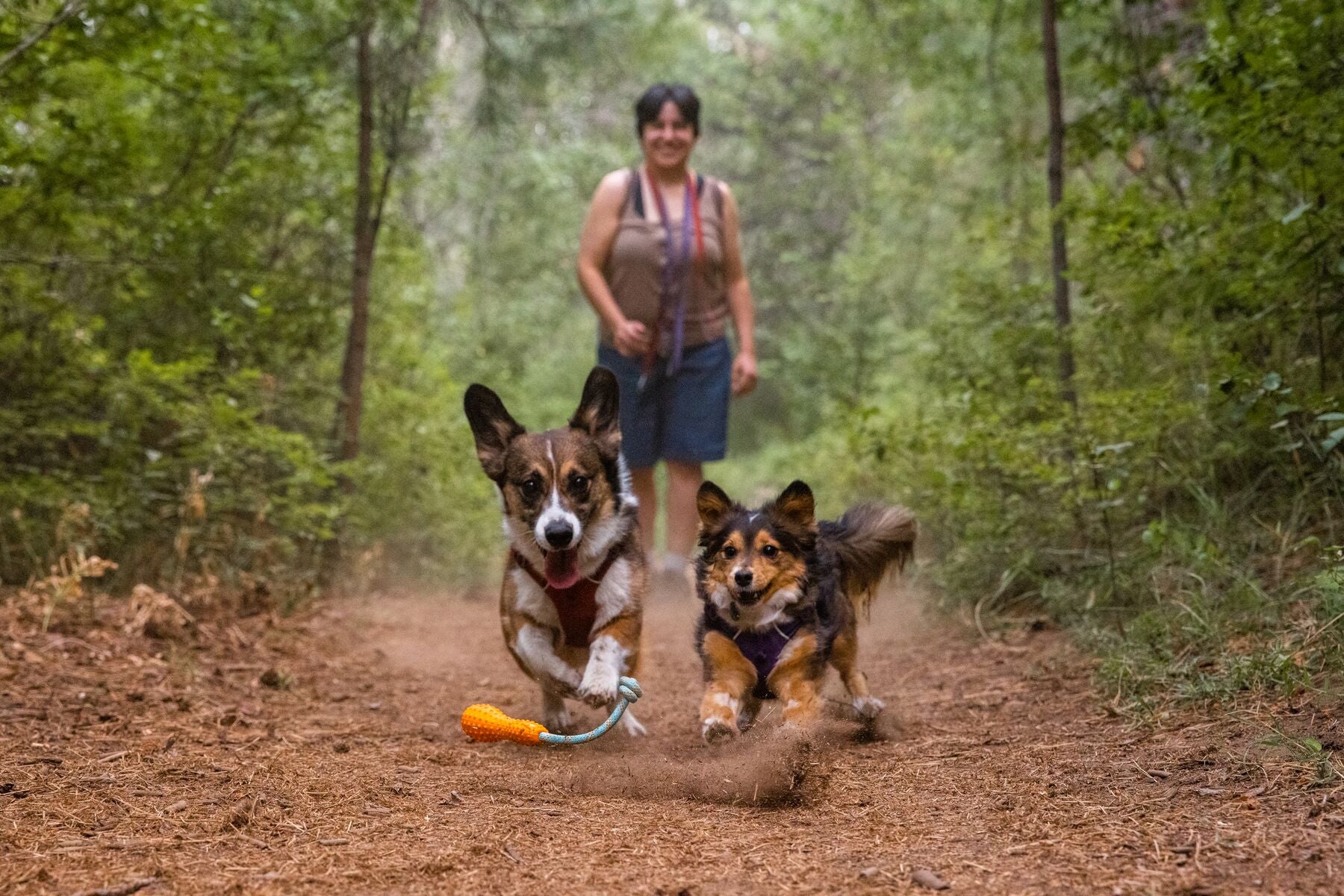 Ruffwear Gourdo Purple Rubber Dog Toy with Rope - Durable Chew Toy for Aggressive Chewers, Interactive Play & Training - Perfect for Fetch, Tug-of-War & Outdoor Adventures (Heliotrope Purple)