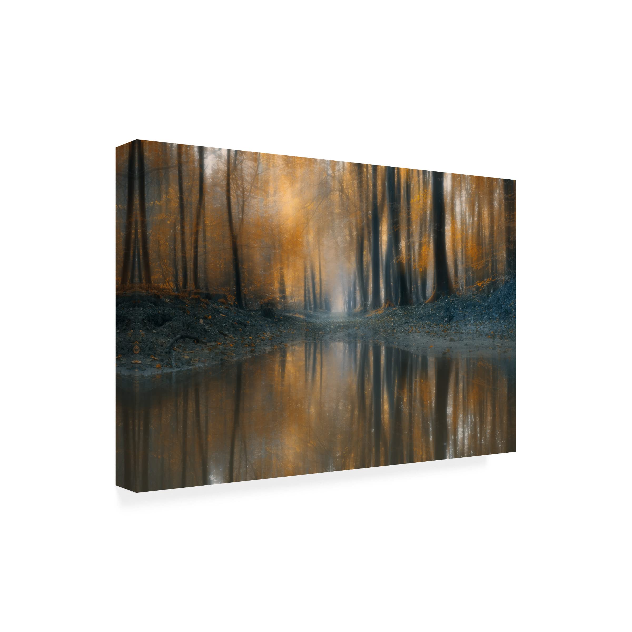 Trademark Fine Art 'The Woods' Canvas Print by Bingo Z - Nature-Inspired Wall Decor for Living Room, Bedroom & Office