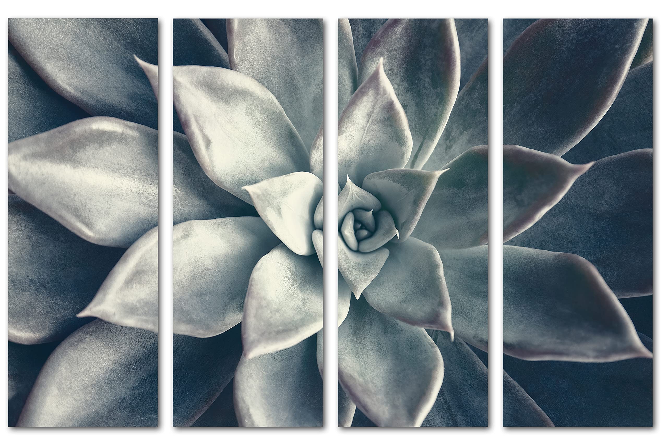 32 x 20 Inch Echeveria Succulent Canvas Print Wall Art - 4 Panel Split Botanical Plant Painting in Dark Teal for Living Room, Bedroom & Office Decor