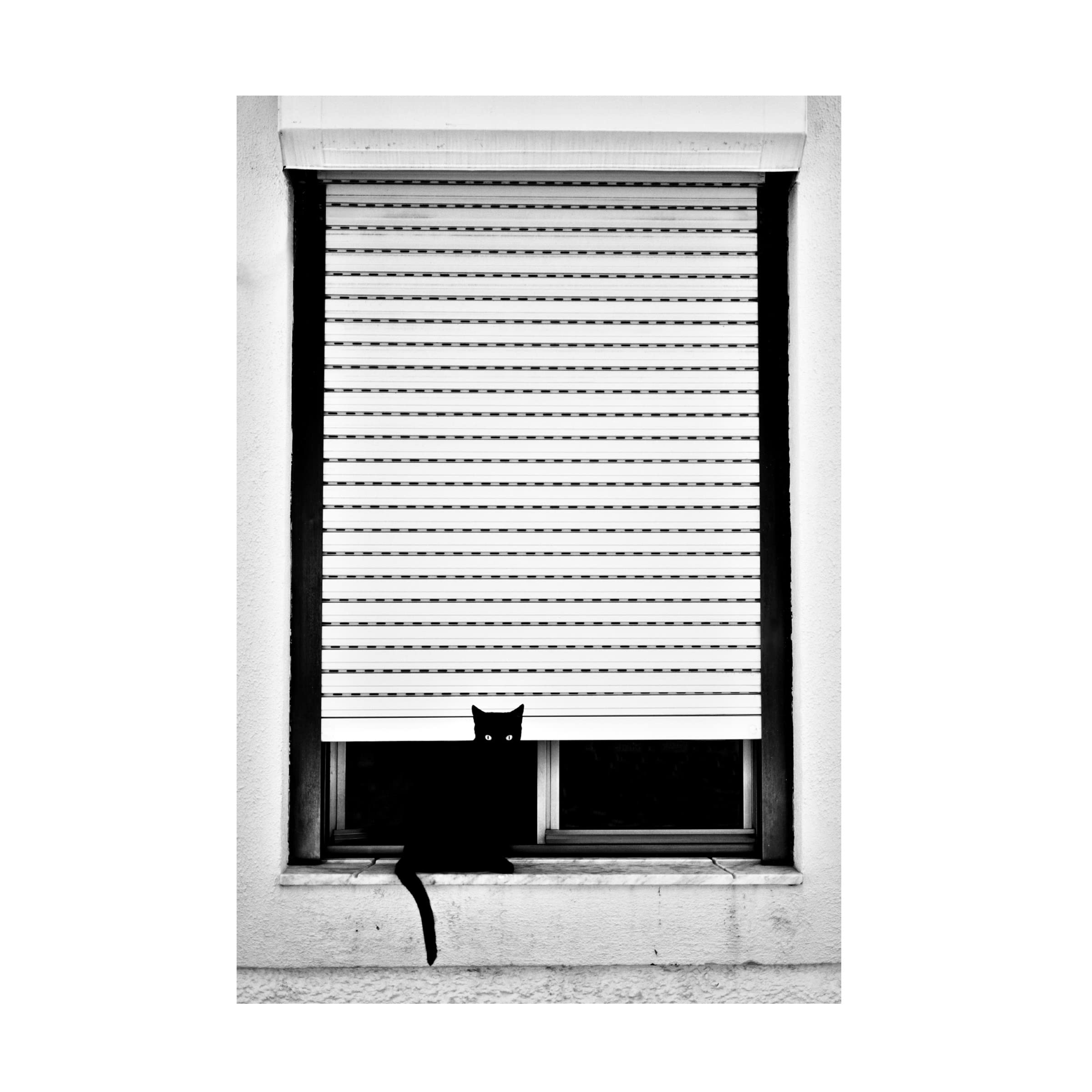Trademark Fine Art 'Framed Black Cat' Canvas Wall Art by Florentinus Joseph - Elegant Home Decor for Living Room, Bedroom & Office