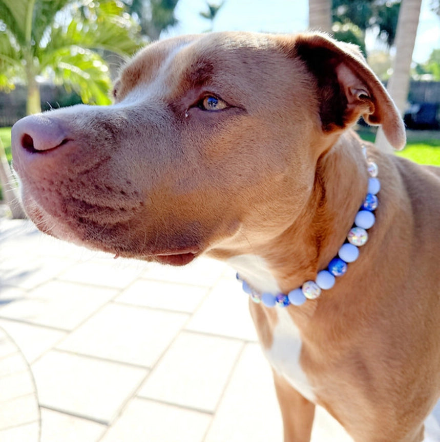 Blueberry Bash Beaded Dog Collar - Stylish & Durable Pet Accessory for Small & Medium Dogs - Perfect for Walks, Training & Fashion Outfits