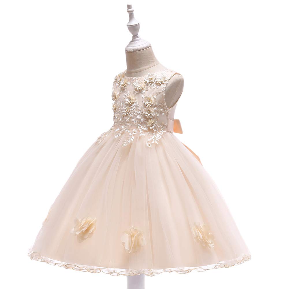 Flower Baby Girls Princess Dress - Embroidered Wedding Party Birthday Pageant Prom Gowns for Formal Occasions | Perfect for Weddings, Birthday Parties, Pageants & Special Events