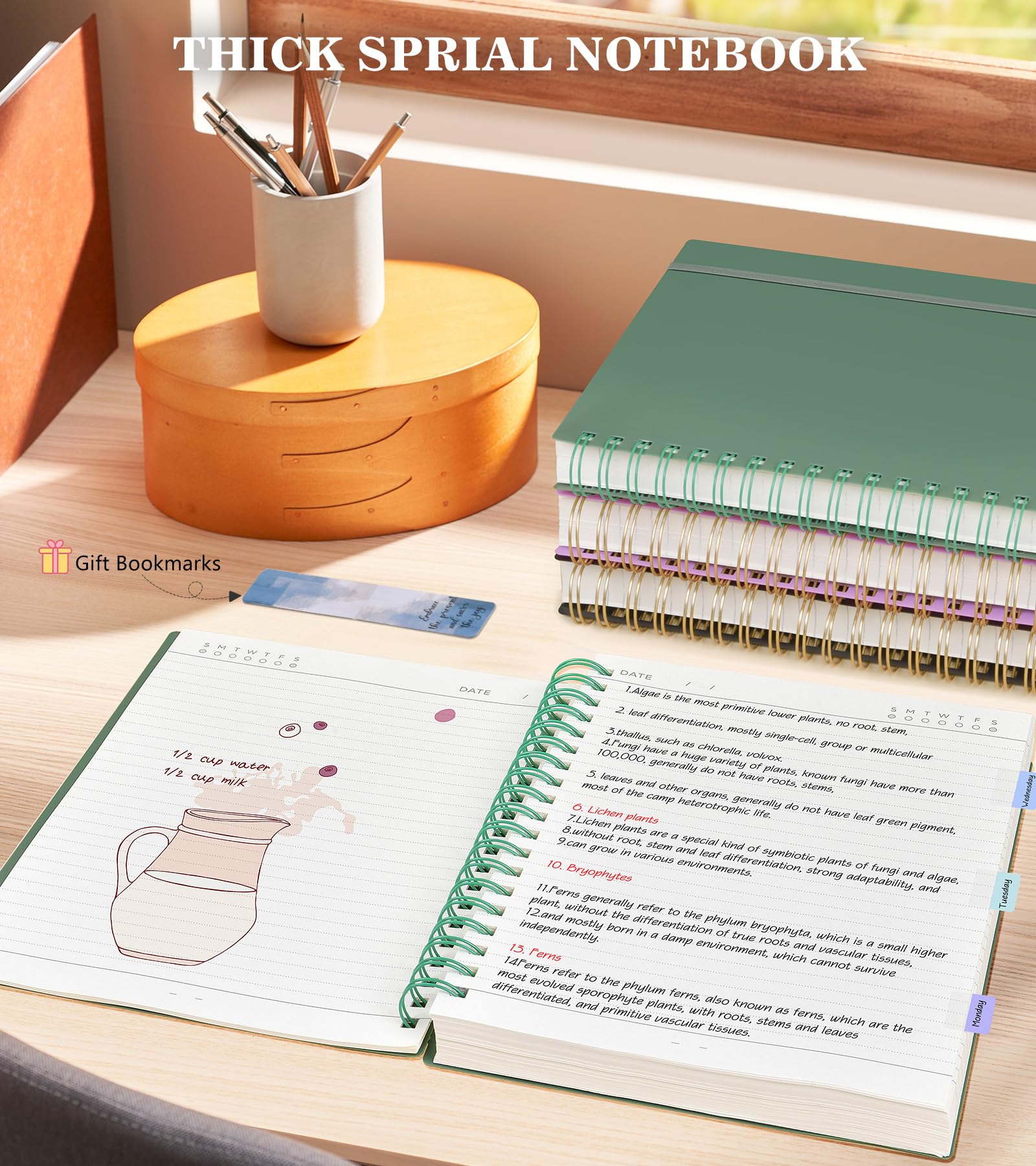 Premium Spiral Notebook Journal - 8.5