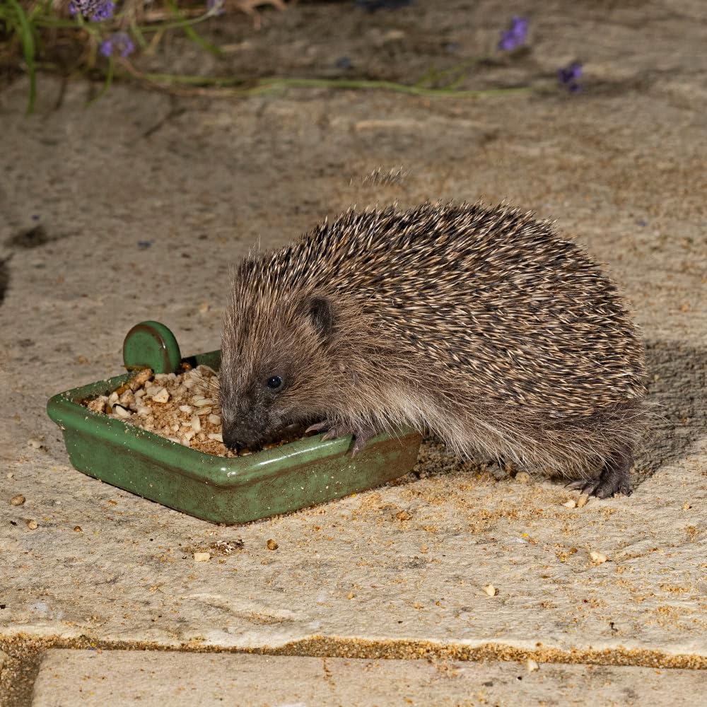 Jacobi Jayne® I Love Hedgehogs™ Semi Moist Hedgehog Food - 2kg Bag of Tasty, Nutritious Food for Adult & Baby Hedgehogs - Supports Healthy Bones & Teeth - Perfect for Garden Feeding & Wildlife Care