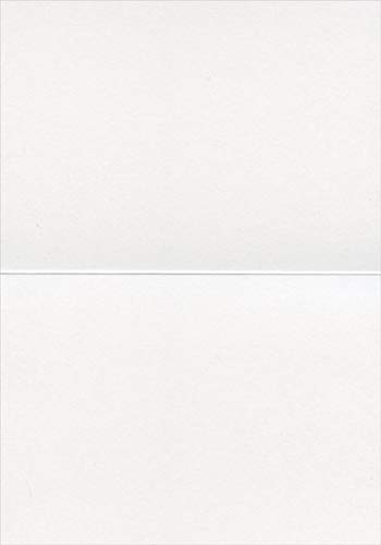 Avanti Press Line Up of Five Kittens on Pink Blank Note Card Set - Cute Cat Greeting Cards for Birthdays, Thank You Notes & Special Occasions