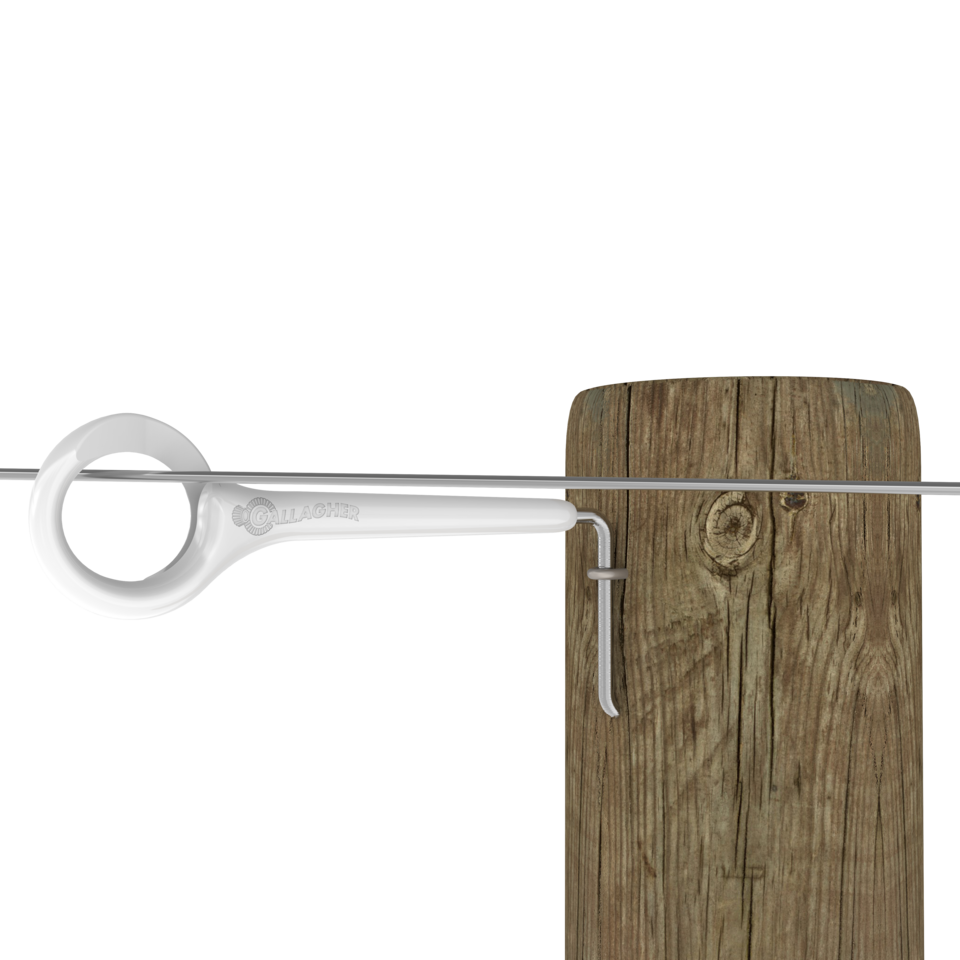 Gallagher Side Mount Ring Top™ Offset - Pack of 5 | Durable Horse Halter Hardware for Trail Riding & Stable Use