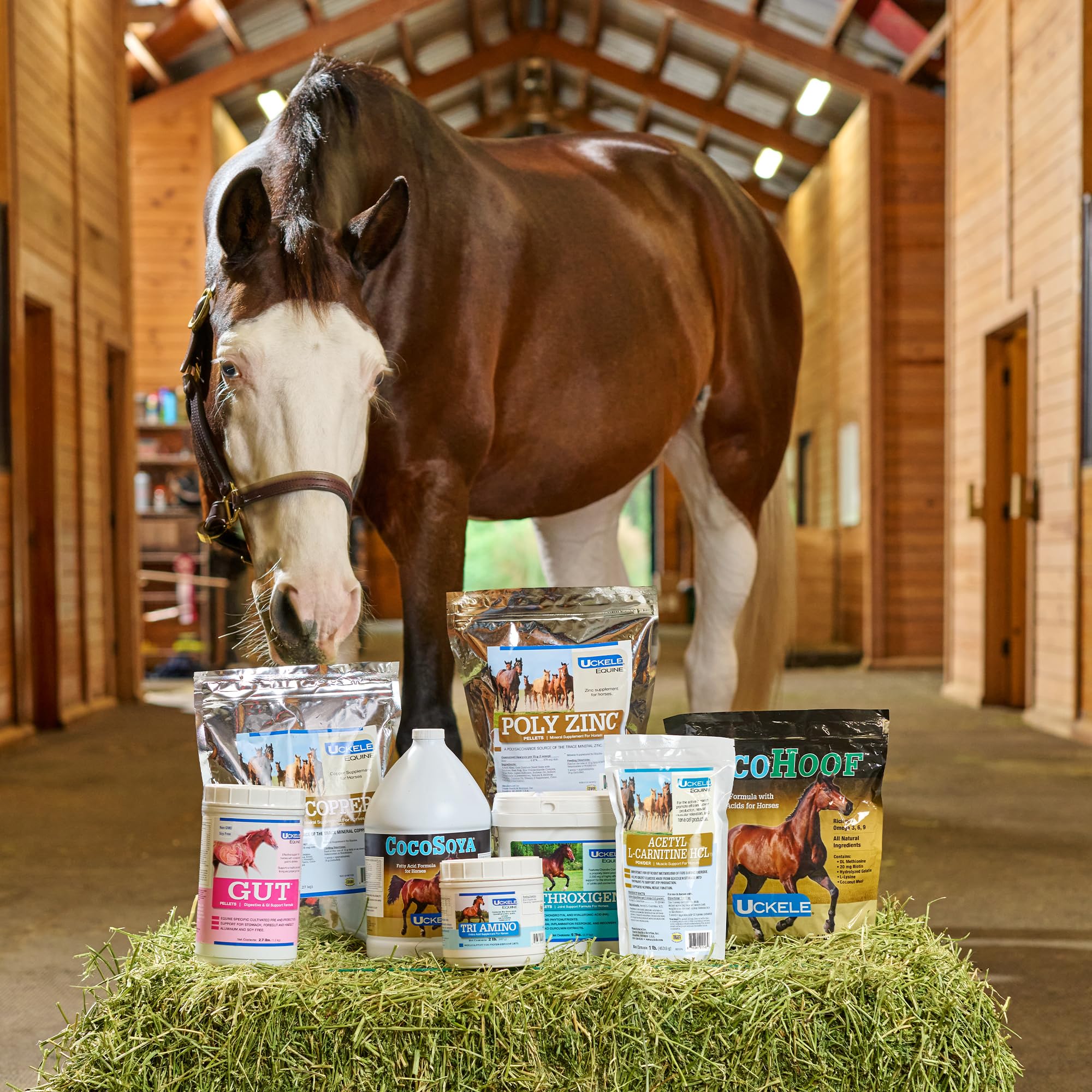 SmartEquine EquiBase Grass Pellets - Premium Horse Vitamin & Mineral Supplement with Forage Balancer for Light to Moderate Work Horses - 30 lb Bucket - Ideal for Pasture Grazing & Stable Feeding