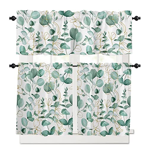 Eucalyptus Leaves