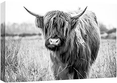 Bs21-2105-animal-vee04