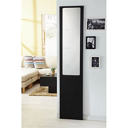 Furniture of America Sion Contemporary Black Wood Framed Mirror - Elegant Wall Decor for Bedroom, Living Room & Entryway